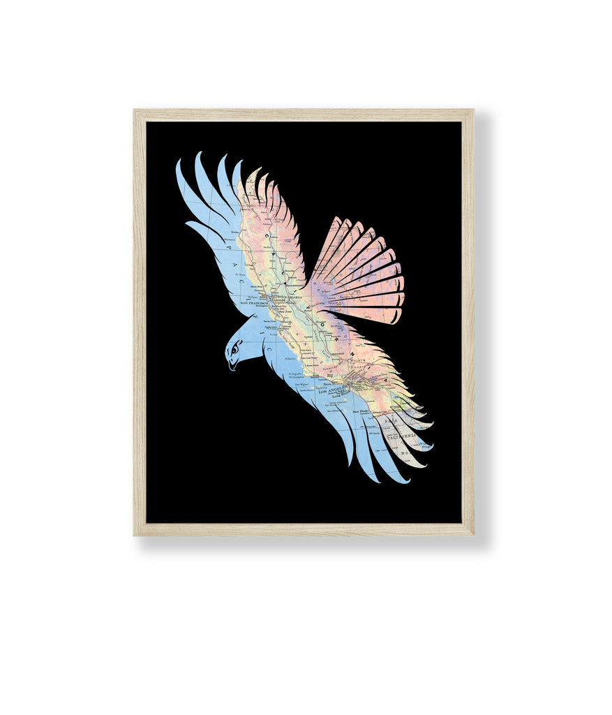 "Fly Free" California Hawk Print