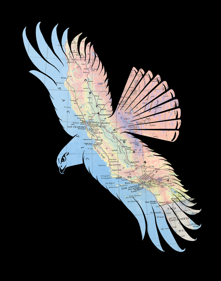 "Fly Free" California Hawk Print