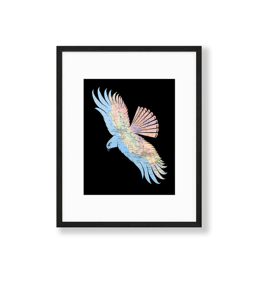 "Fly Free" California Hawk Print